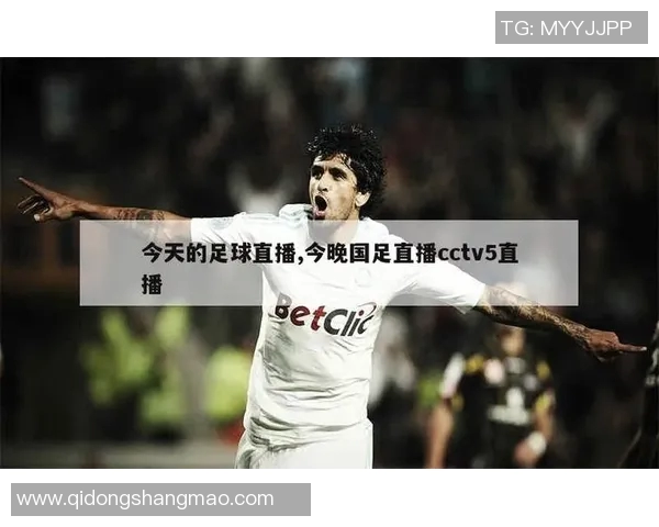 CCTV足球直播精彩瞬间回顾与深度解析